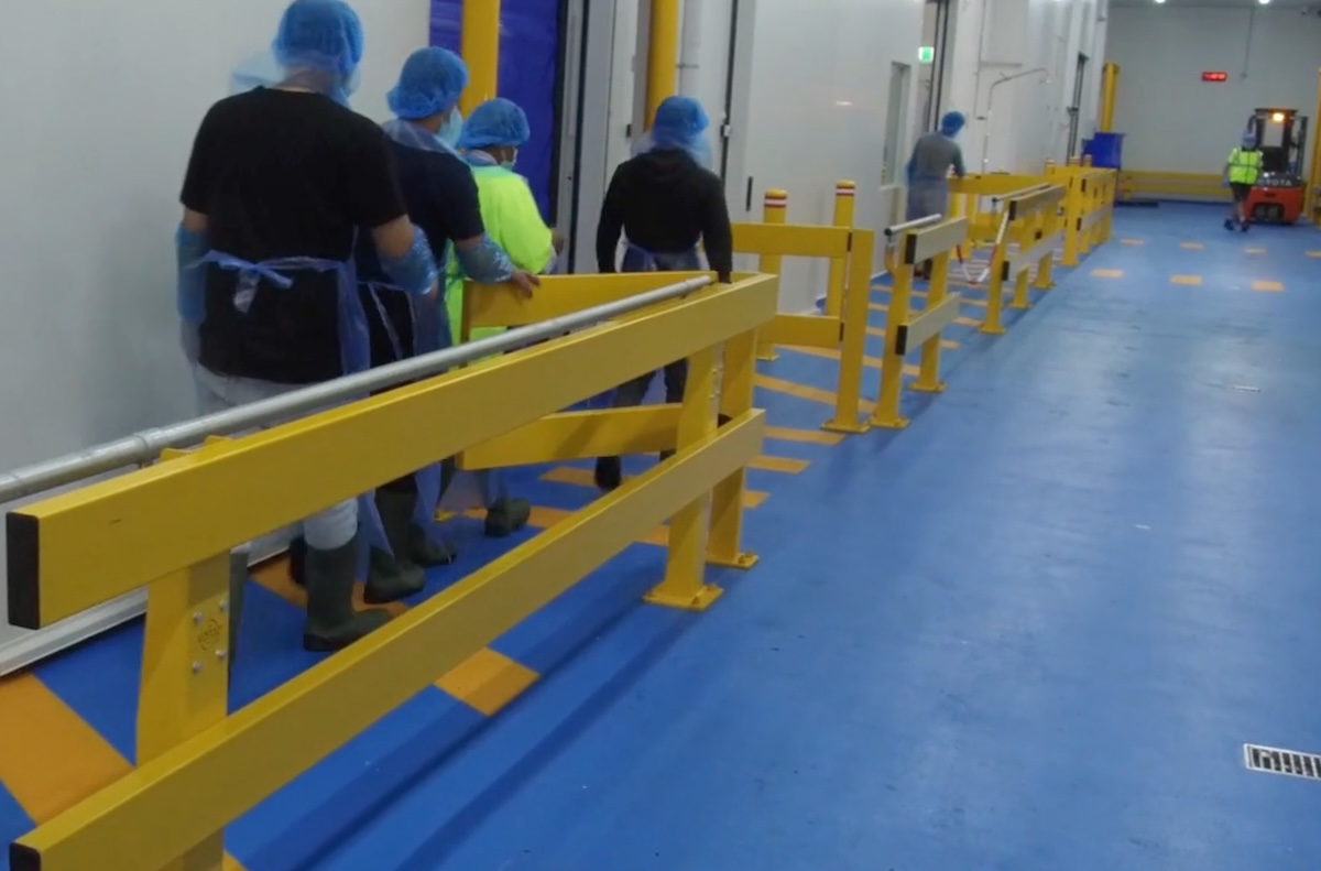 Workers in safety gear following a pathway.